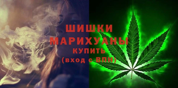 твердый Богородицк