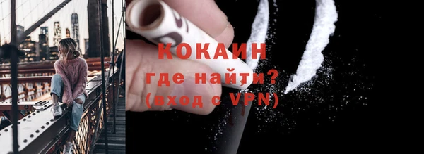твердый Богородицк