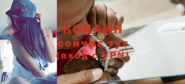 твердый Богородицк